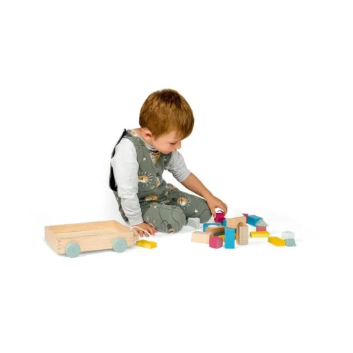 Fsc Brick Cart