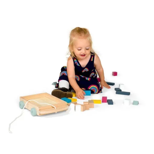 Fsc Brick Cart