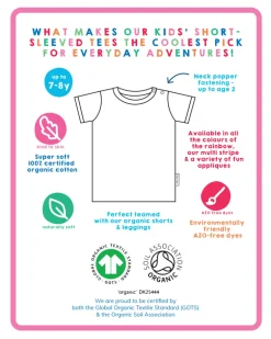 Organic Green Rainbow Stripe T-Shirt