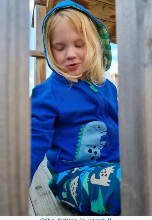 Organic Tonal Dinosaur Applique Hoodie