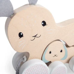 Fsc Pull Along Bunny & Baby