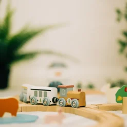 Fsc Train Set (Woodland Animal)
