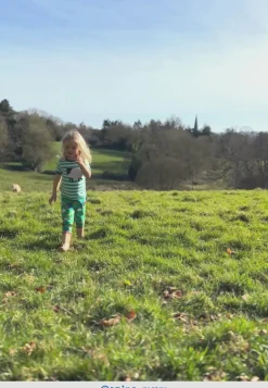 Organic Hillside Sheep Applique Short Sleeved T-Shirt