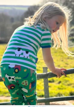 Organic Hillside Sheep Applique Short Sleeved T-Shirt