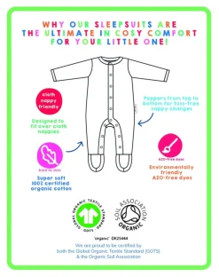 Organic Kitten Print Baby Gift Set