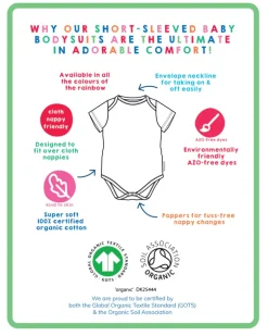 Organic New Baby Basic Bodysuit Bundle (0-3m / 56cm)