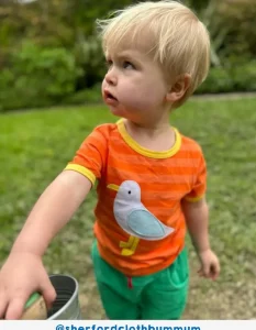 Organic Striped Seagull Applique T-shirt