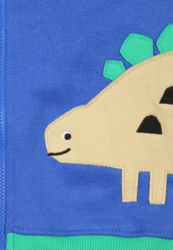 Organic Tonal Dinosaur Applique Hoodie