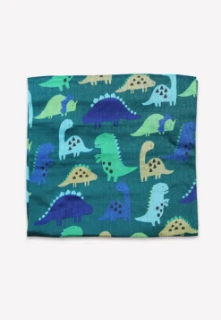 Organic Tonal Dinosaur Muslin 2-Pack