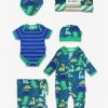 Organic Tonal Dinosaur Print Baby Bundle