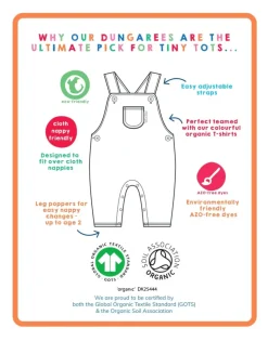 Organic Tonal Dinosaur Print Dungarees