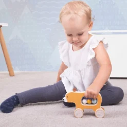 Push Along Bear - FSC 100%