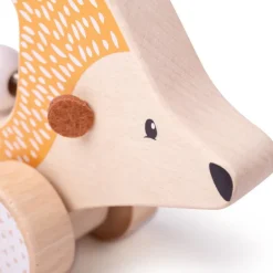 Push Along Hedgehog - FSC 100%